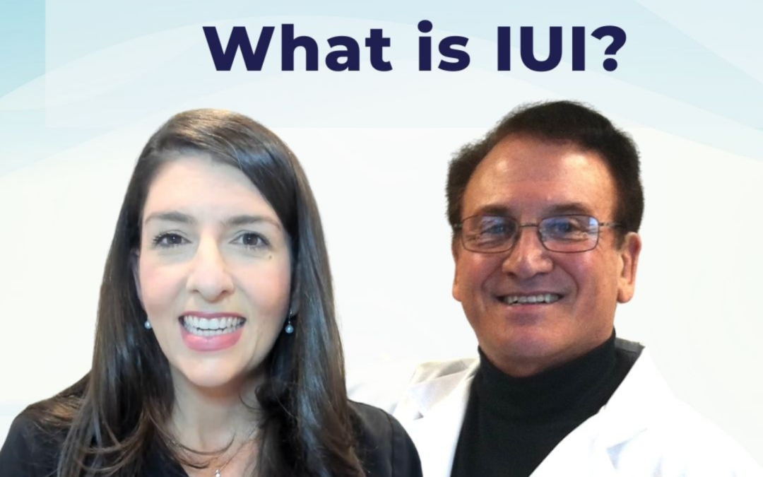 “What is IUI?” on The Egg Whisperer Show