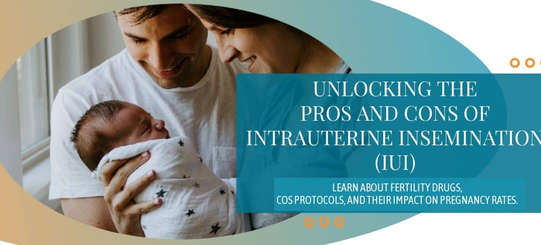 Intrauterine Insemination: Pros And Cons