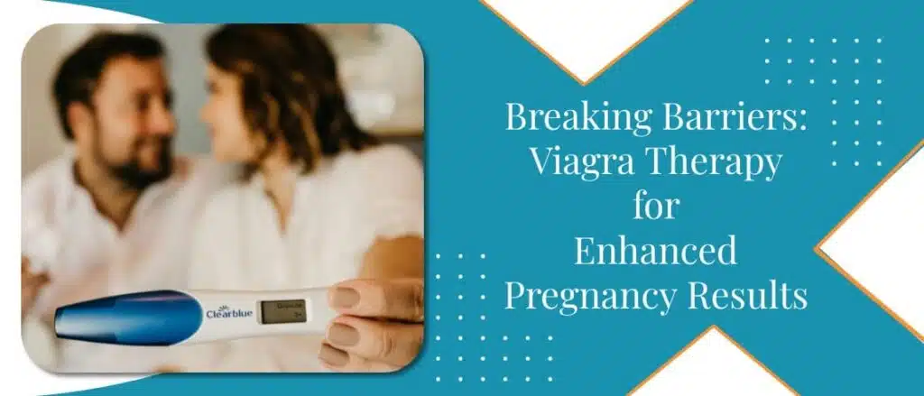 The Impact of a Thin Uterine Lining on Embryo Implantation and the Benefits of Viagra Therapy