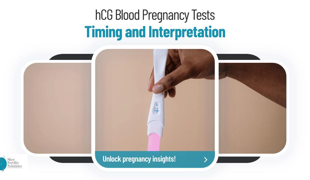 Timing and Interpretation of hCG Blood Pregnancy Tests