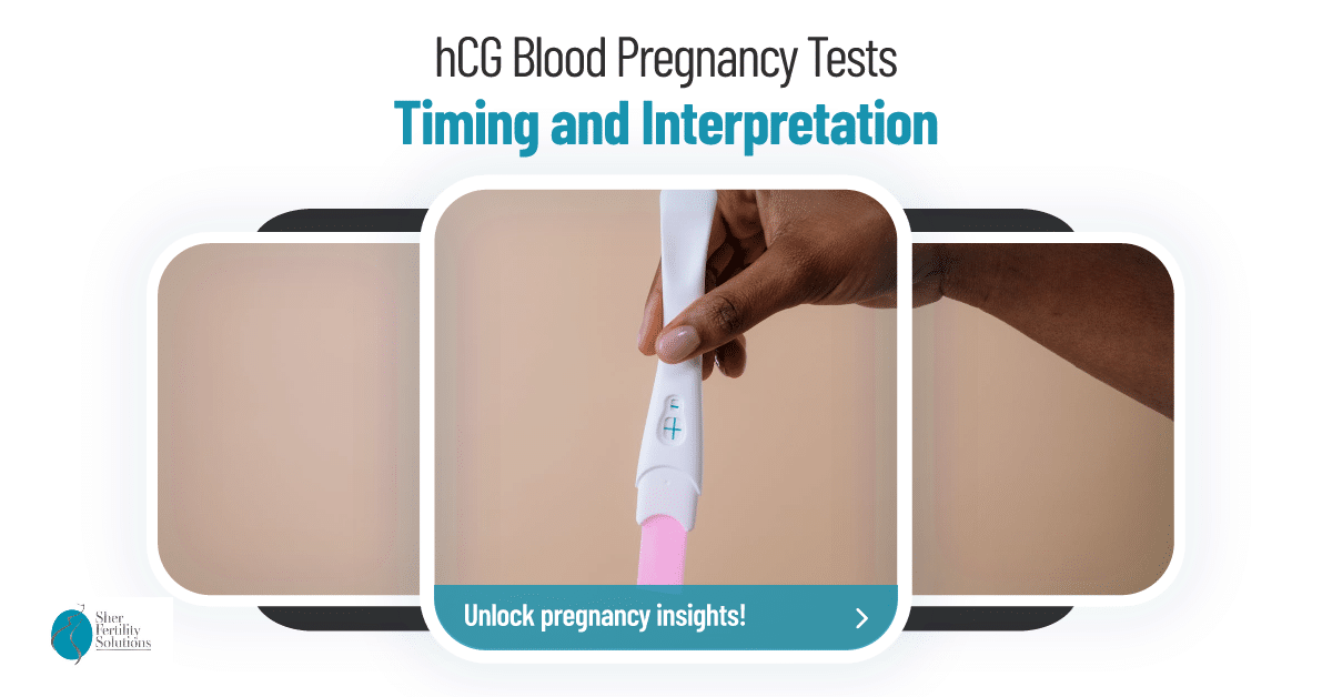 Timing and Interpretation of hCG Blood Pregnancy Tests