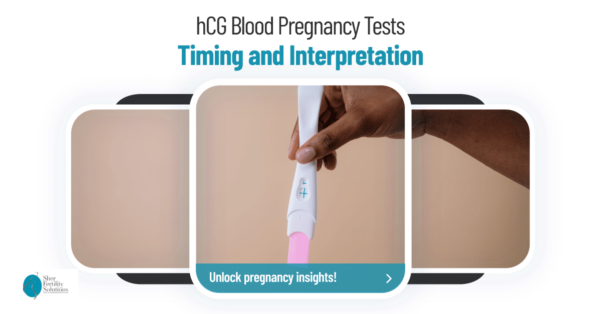 Blog-post-1_-Timing-and-Interpretation-of-hCG-Blood-Pregnancy-Tests-1